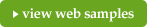 view web